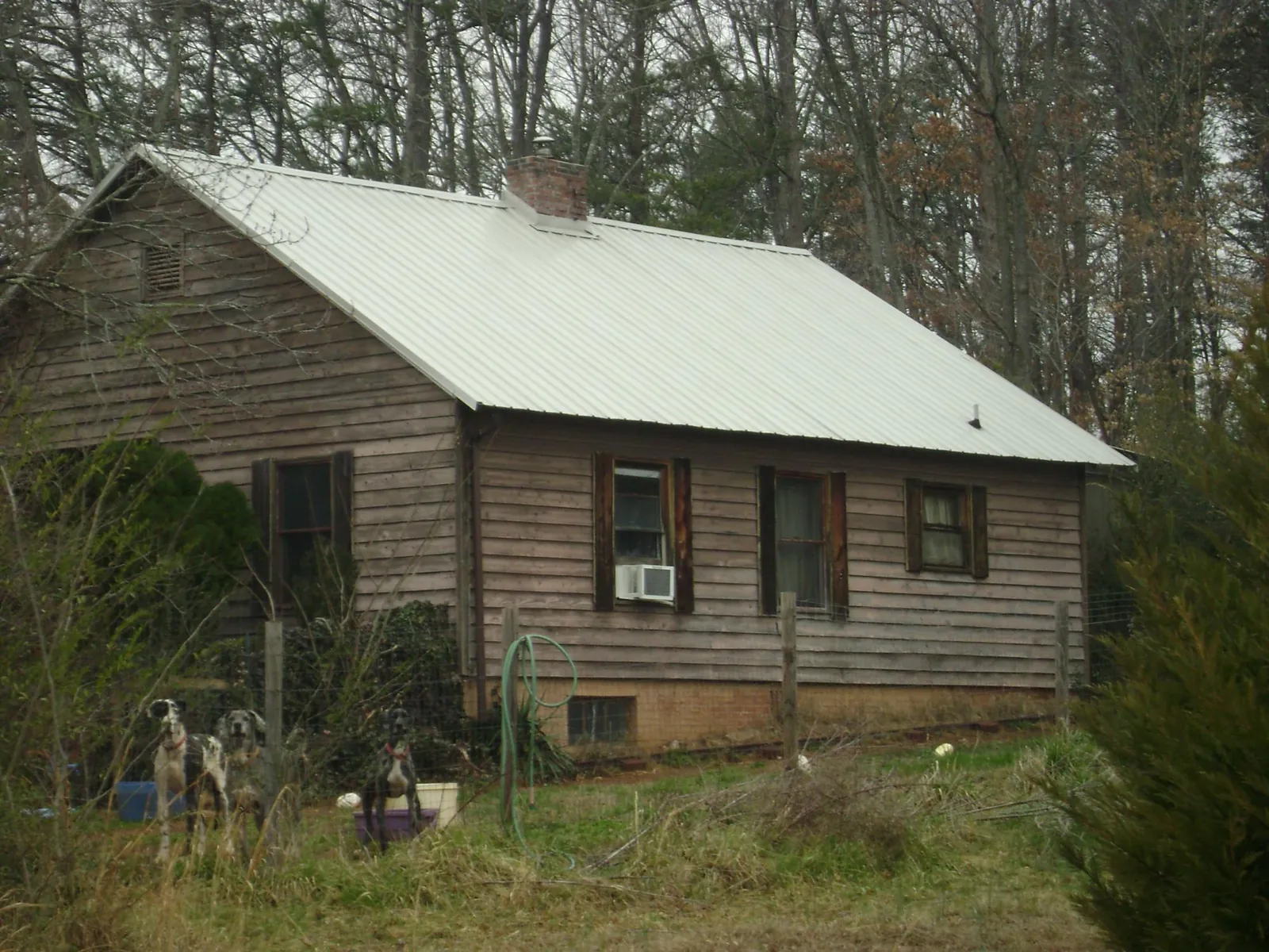 White metal roof on an old wood sided farmhouse, from a Metal Roof Installation job in Pioneer